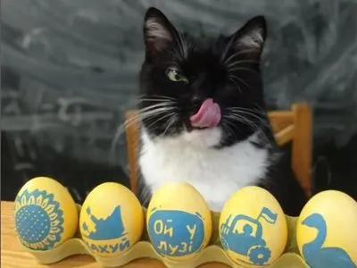 У кота Степана появился конкурент: кот Бандера показал пасхальные писанки