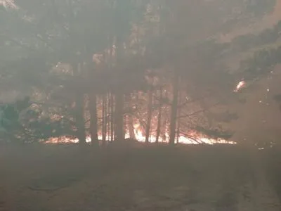 Лісові пожежі палають на Київщині: киян закликали закривати вікна