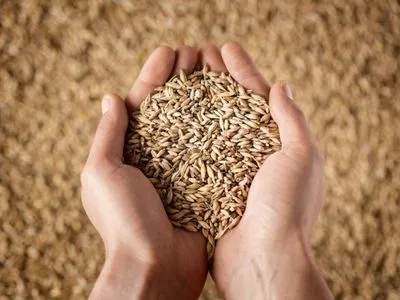 Росіяни із захоплених регіонів України вивезли приблизно 400 тонн зернових – Денісова