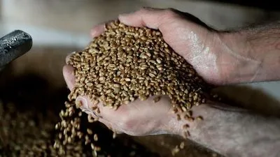 Кулеба розповів, як Україна блокує продаж рф краденого зерна