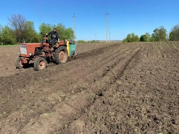 Продовольственный фронт в громадах усиливается: в Черкасской области дополнительно посадили около 6 га картофеля