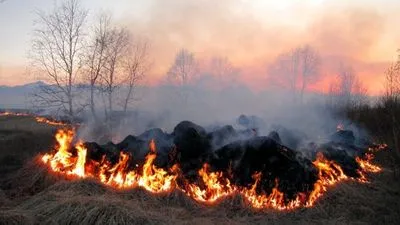 В Киевской области стало больше природных пожаров, горит сухая трава