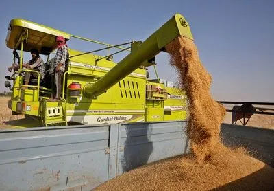 Індія запроваджує заборону на експорт пшениці через зростання цін