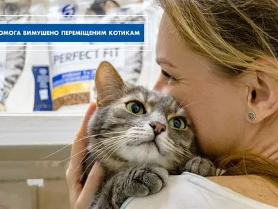 Помощь для домашних любимцев-переселенцев: МХП передал 300 кг корма для кошек