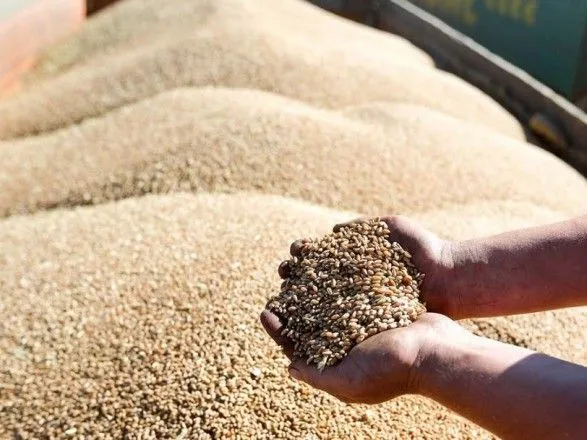 В ООН пропонують послабити деякі санкції для зняття блокади рф з експорту українського зерна - WSJ