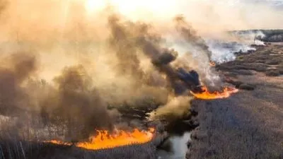 У Чорнобильській зоні вирує найбільша за поточний рік пожежа