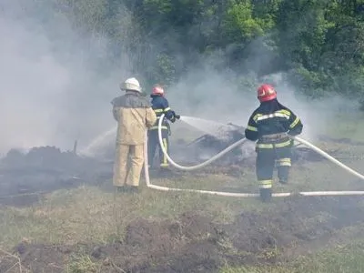 Площадь лесных пожаров в Украине увеличилась почти в сто раз, тушению мешает заминирование