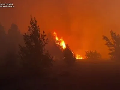 Неподалік Чорнобильської зони сталася лісова пожежа, працівники ДСНС врятували жінку