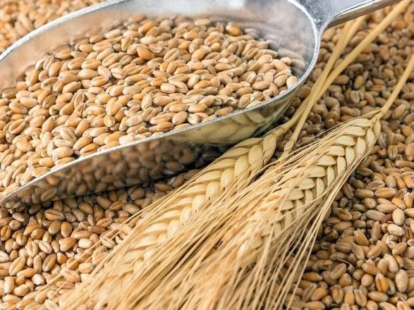 Компания Deutsche Bahn помогает экспортировать украинское зерно