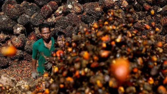 Індонезія, найбільший у світі виробник пальмової олії, зняла заборону на експорт