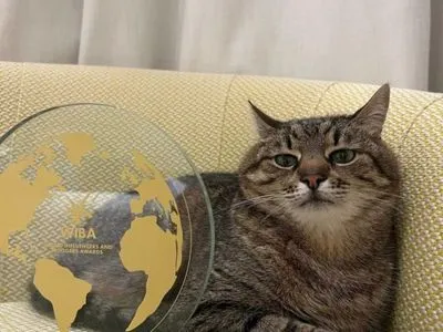 Харьковский кот Степан получил в Каннах блогерскую награду