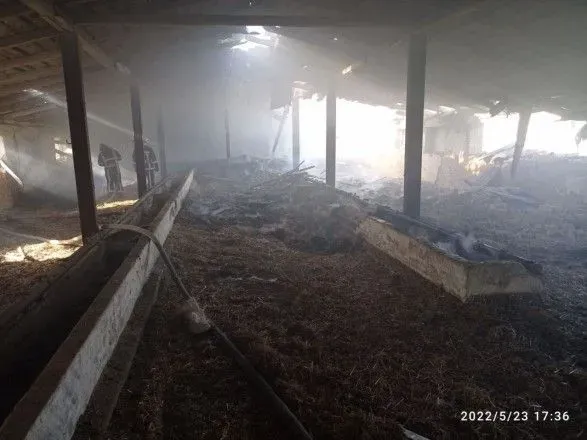 Загорілась стара ферма, у будинках – вибиті вікна: наслідки ворожих обстрілів Сумщини з території рф