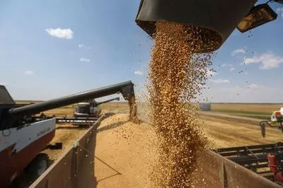 Мировых запасов пшеницы осталось на 10 недель. Ситуация хуже, чем в 2007 и 2008 годах