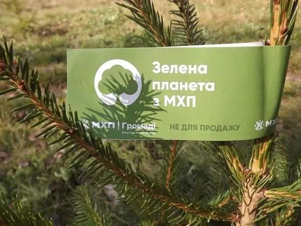 "Зеленая планета": за два года МХП высадил почти 700 деревьев на Волыни