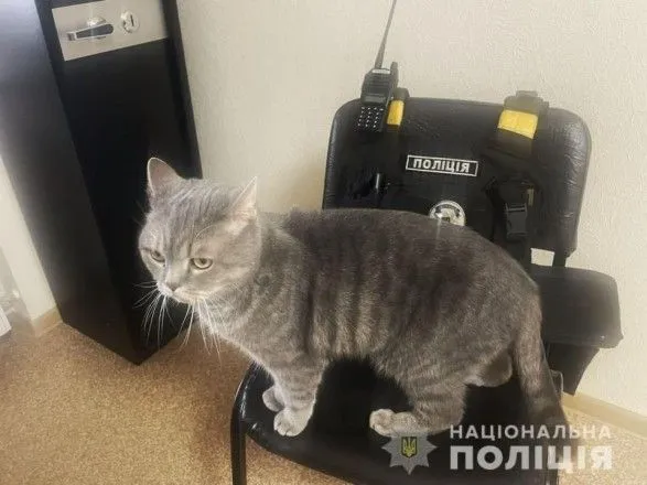 У Харківській області на поліцейській станції оселився врятований кіт Ося