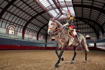 Королева Єлизавета отримала у подарунок на ювілей коня від президента Франції Макрона