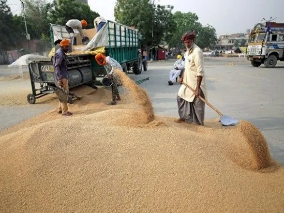Индия разрешила вывоз небольшого количества пшеницы после запрета