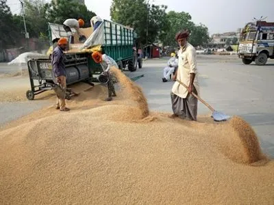Індія дозволила вивезення невеликої кількості пшениці після заборони