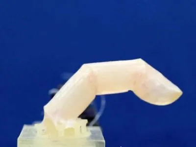 Ученые создали роботизированный палец, покрытый кожей