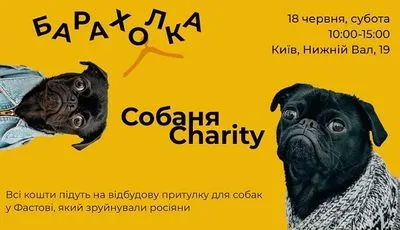 В Киеве волонтеры открывают "барахолку" для поддержки приюта для животных в Фастове