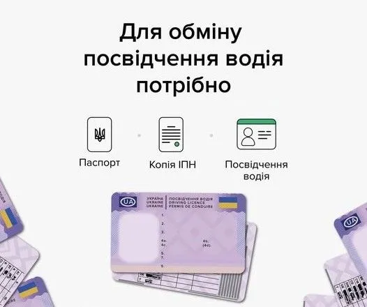 Украинское водительское удостоверение адаптировали к европейскому образцу – МВД