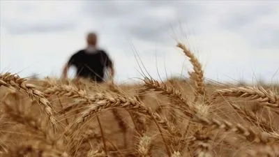 Нет необходимости в разминировании для вывоза зерна из Украины, говорит МИД Турции