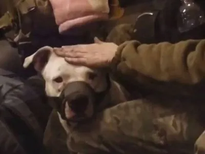 Окупанти віддали кадирову собаку захисниці "Азовсталі"