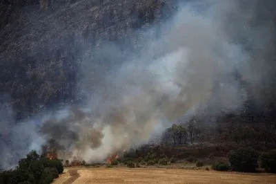 Лесные пожары выжгли 1600 гектаров леса в испанской Каталонии