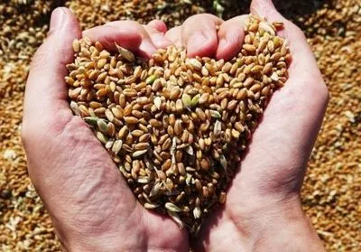 Будапешт предлагает экспорт украинского зерна через свою территорию