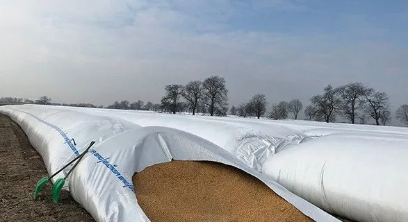 Украина получит от партнеров дополнительные мощности для временного хранения зерновых: о чем идет речь