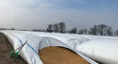 Україна отримає від партнерів додаткові потужності для тимчасового зберігання зернових: про що мова