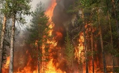 Пожар близ Берлина: пламя охватило до 200 га леса
