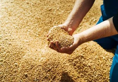 Україна зустрінеться з Туреччиною, ООН та росією щодо зерна наступного тижня - Milliyet