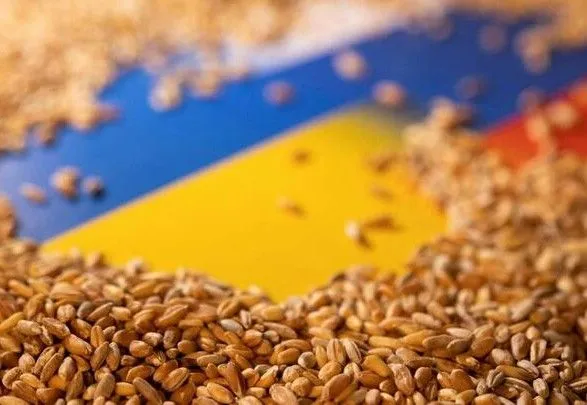 россия с помощью 10 судов вывезла более 500 тыс. тонн украинского зерна - посол