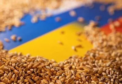 росія за допомогою 10 суден вивезла понад 500 тис. тонн українського зерна – посол