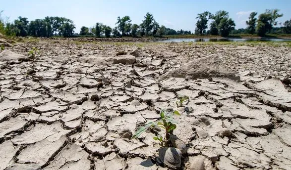 В Іспанії та Португалії безпрецедентна посуха за останні 1200 років