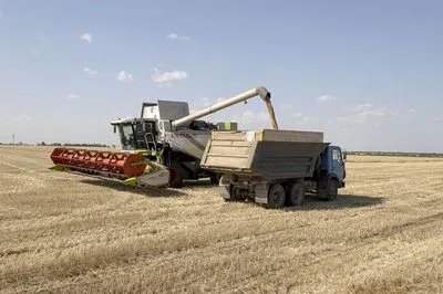 Украина рассчитывает собрать 50 млн тонн зерна - Минагрополитики