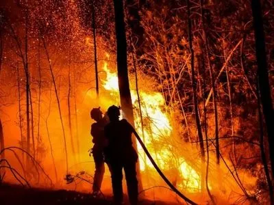 Горять понад 600 гектарів рослинності: на південному сході Франції спалахнули масштабні лісові пожежі