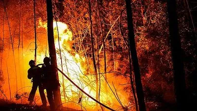 900 пожарных борются с мегапожаром на юге Франции
