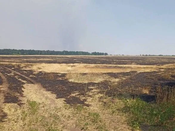 Оккупанты поджигают поля с пшеницей: в Донецкой области за сутки ликвидировали 8 пожаров