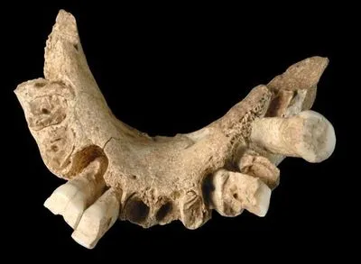 В Іспанії, ймовірно, знайшли найстарішу скам'янілість людини в Європі