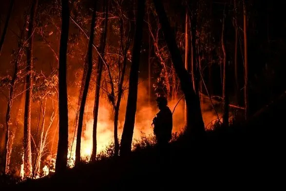 15 тисяч пожежників борються з лісовими пожежами в Португалії: введено надзвичайний стан