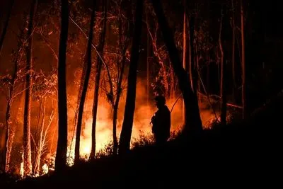 15 тысяч пожарных борются с лесными пожарами в Португалии: введено чрезвычайное положение