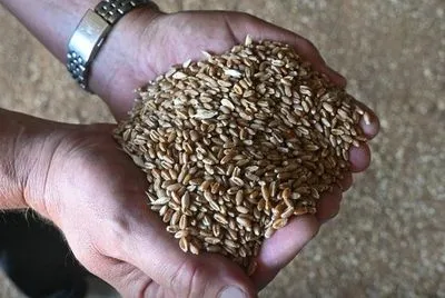 рф погодилася на перемир'я на час транспортування зерна з України – Reuters