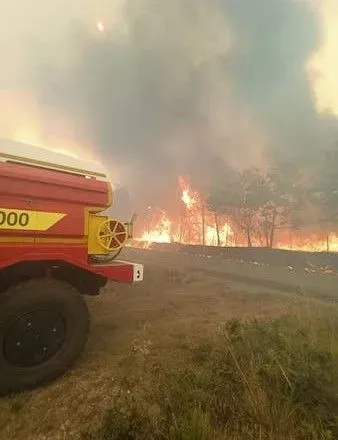 Во Франции вспыхнул пожар: дотла сгорело более 600 г земли