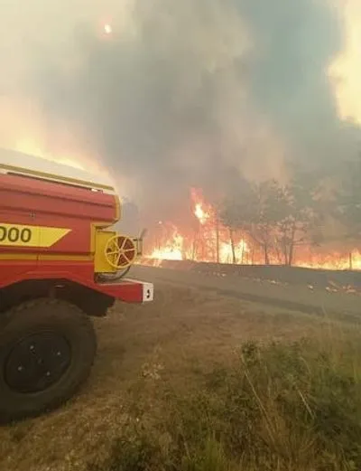 Во Франции вспыхнул пожар: дотла сгорело более 600 г земли