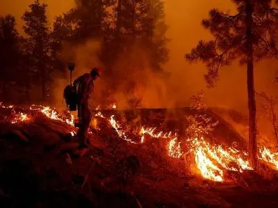 Лісові пожежі продовжують поширюватися випалюючи узбережжя Франції