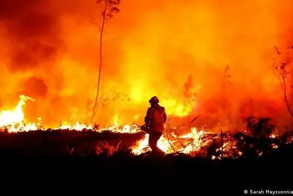 У Португалії від спеки горять тисячі гектарів лісів