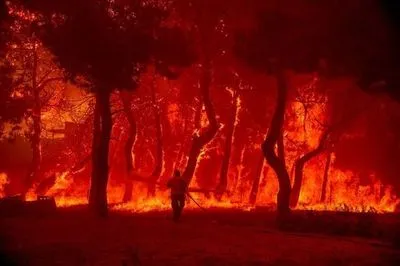 В Греції горять 53 лісові пожежі у різних регіонах країни