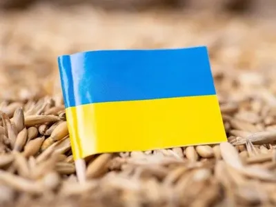 Окупанти знову вивозять українське зерно через порт Маріуполя